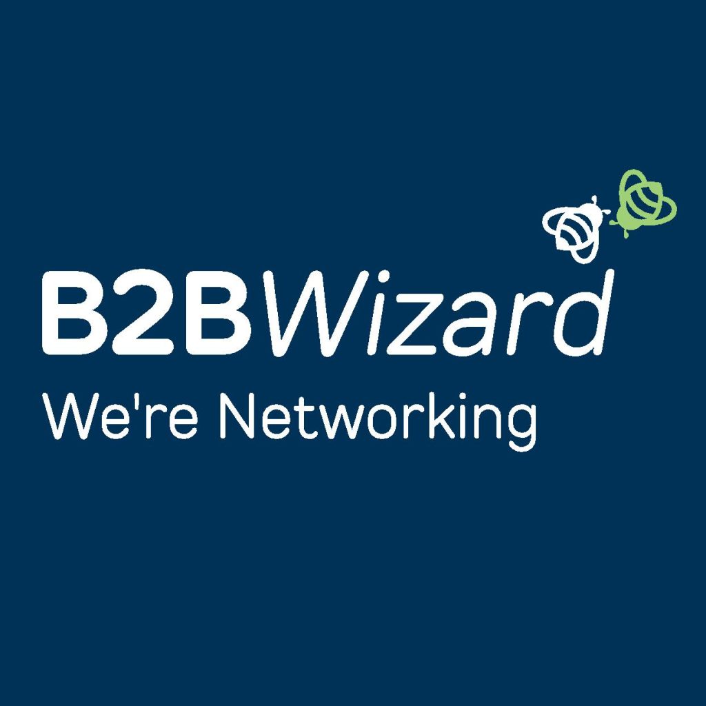 B2B Wizard White Logo